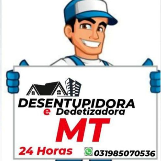 Logo Desentupidora e Detetizadora - MT